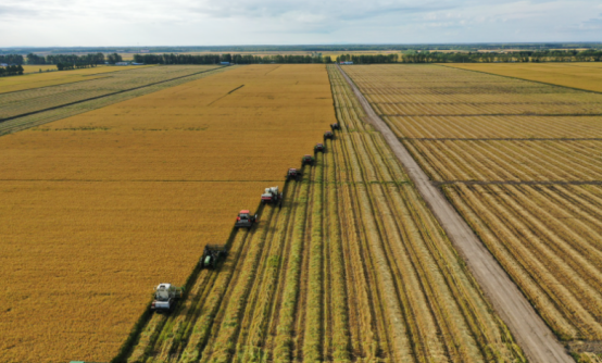 簽約信息：上海大型農(nóng)業(yè)集團(tuán)引入標(biāo)領(lǐng)wms系統(tǒng)_wms智能倉儲系統(tǒng)